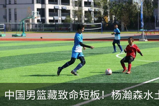 中国男篮藏致命短板！杨瀚森水土不服，最佳调整方案出炉，望采纳
