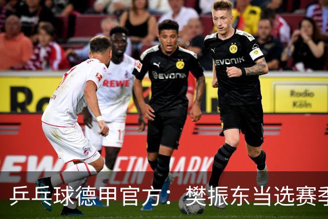 乒乓球德甲官方：樊振东当选赛季最佳 助队荣膺三冠王