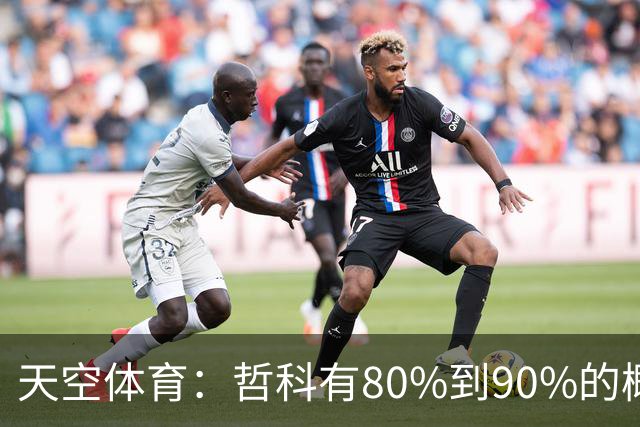 天空体育：哲科有80%到90%的概率和沙尔克续约