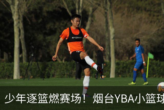 少年逐篮燃赛场！烟台YBA小篮球基层赛火热开赛